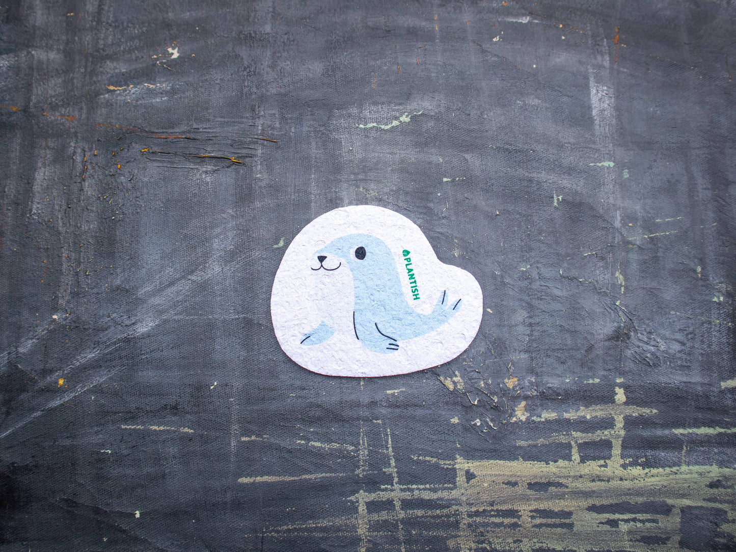 Seal - Éponge pliable