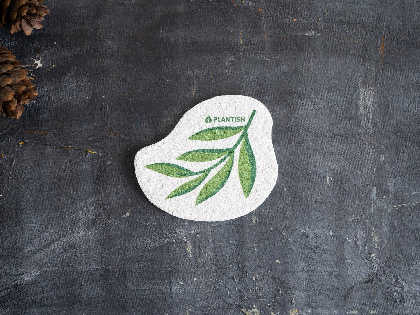Eucalyptus - Éponge pliable