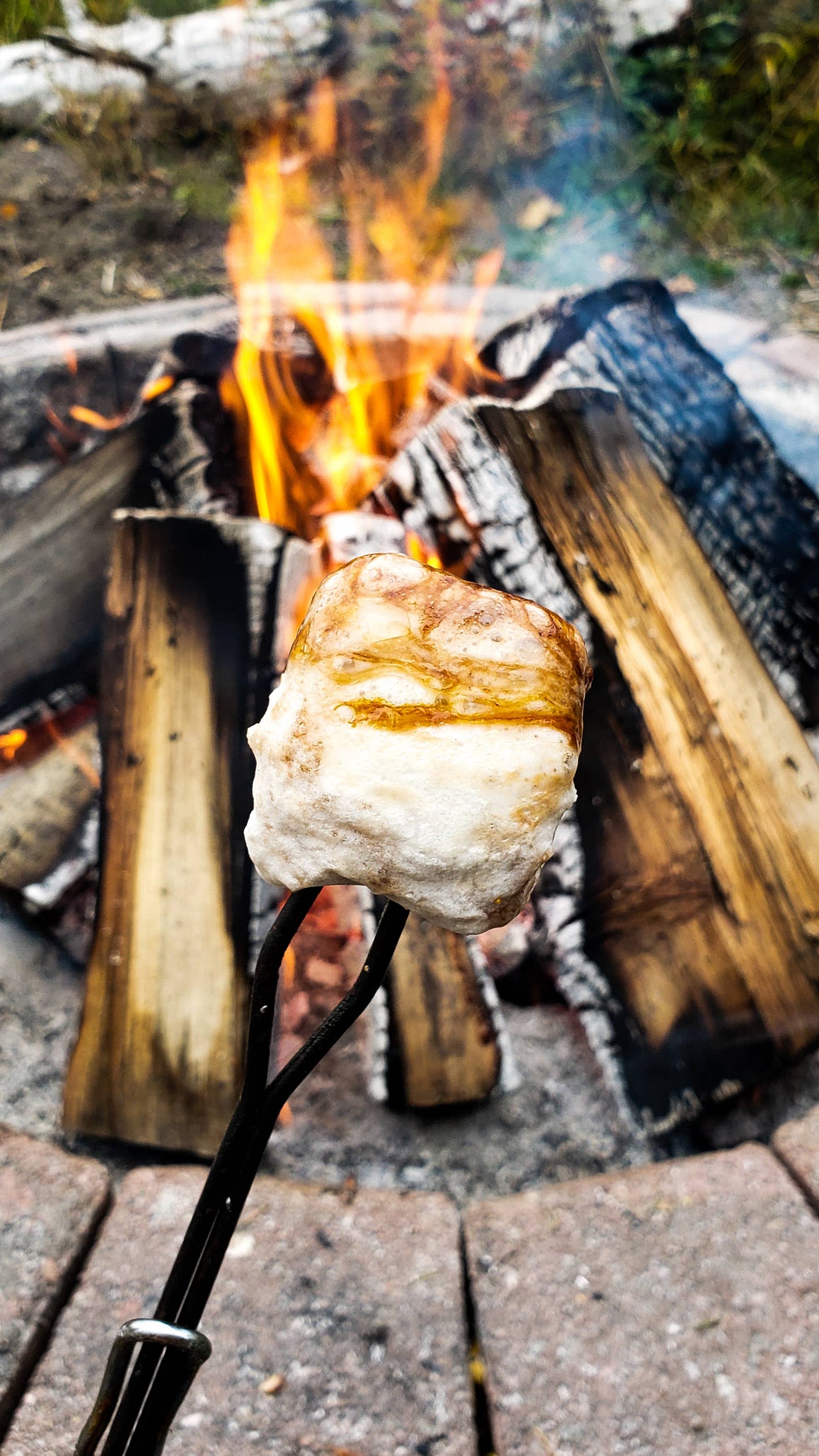 Guimauves au chocolat et aux noisettes PRECOMMANDE