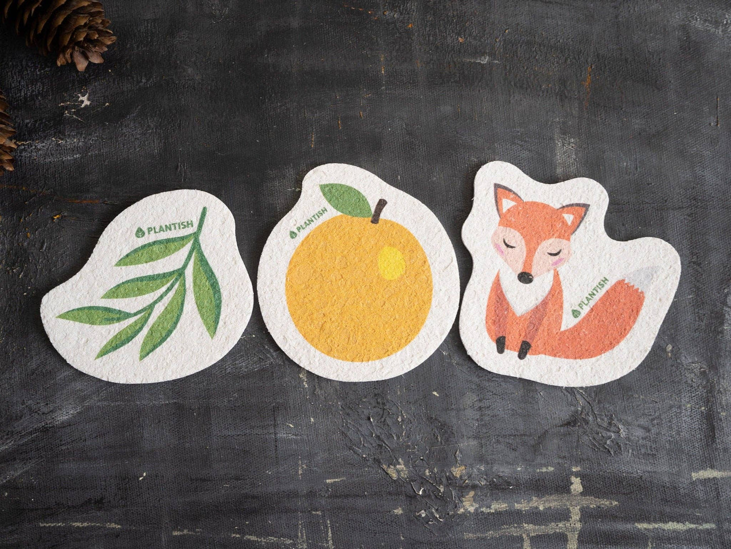 Fox - Éponge pliable