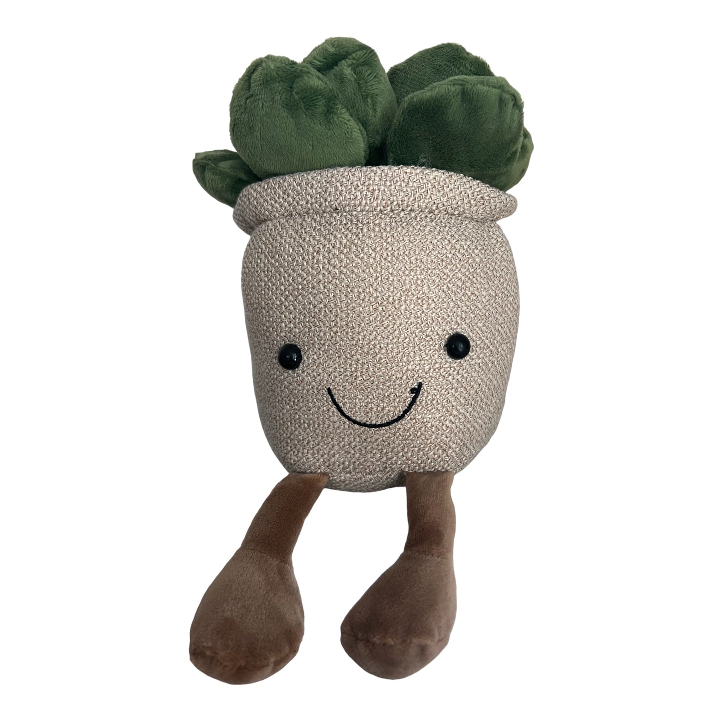 Peluche succulente