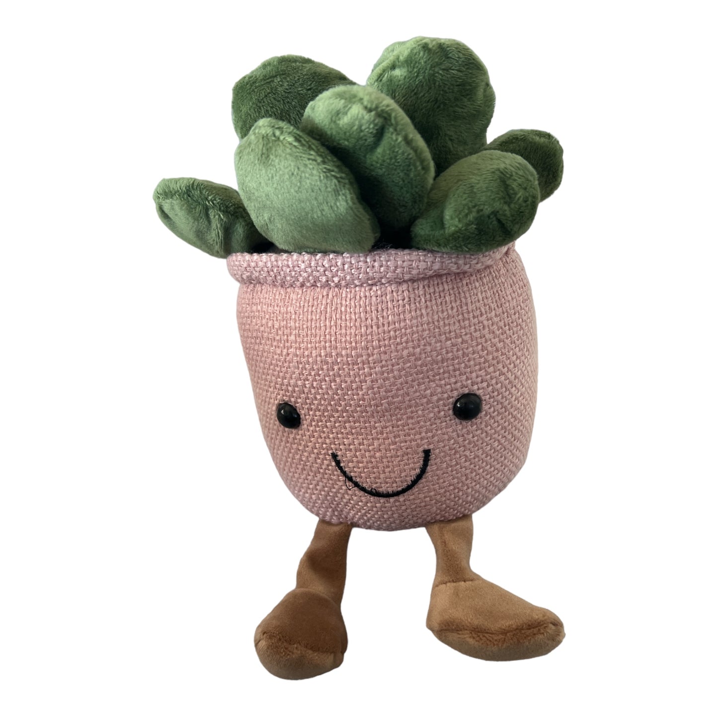 Peluche succulente