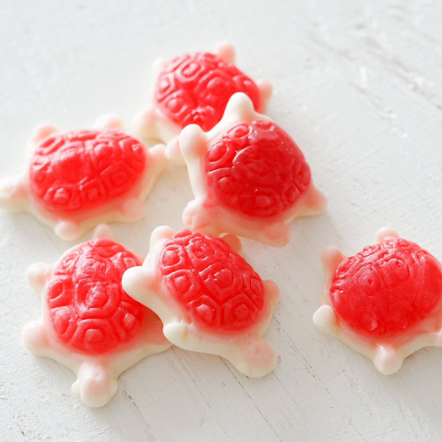 SEA TURTLE REFILL GUMMY CANDIES