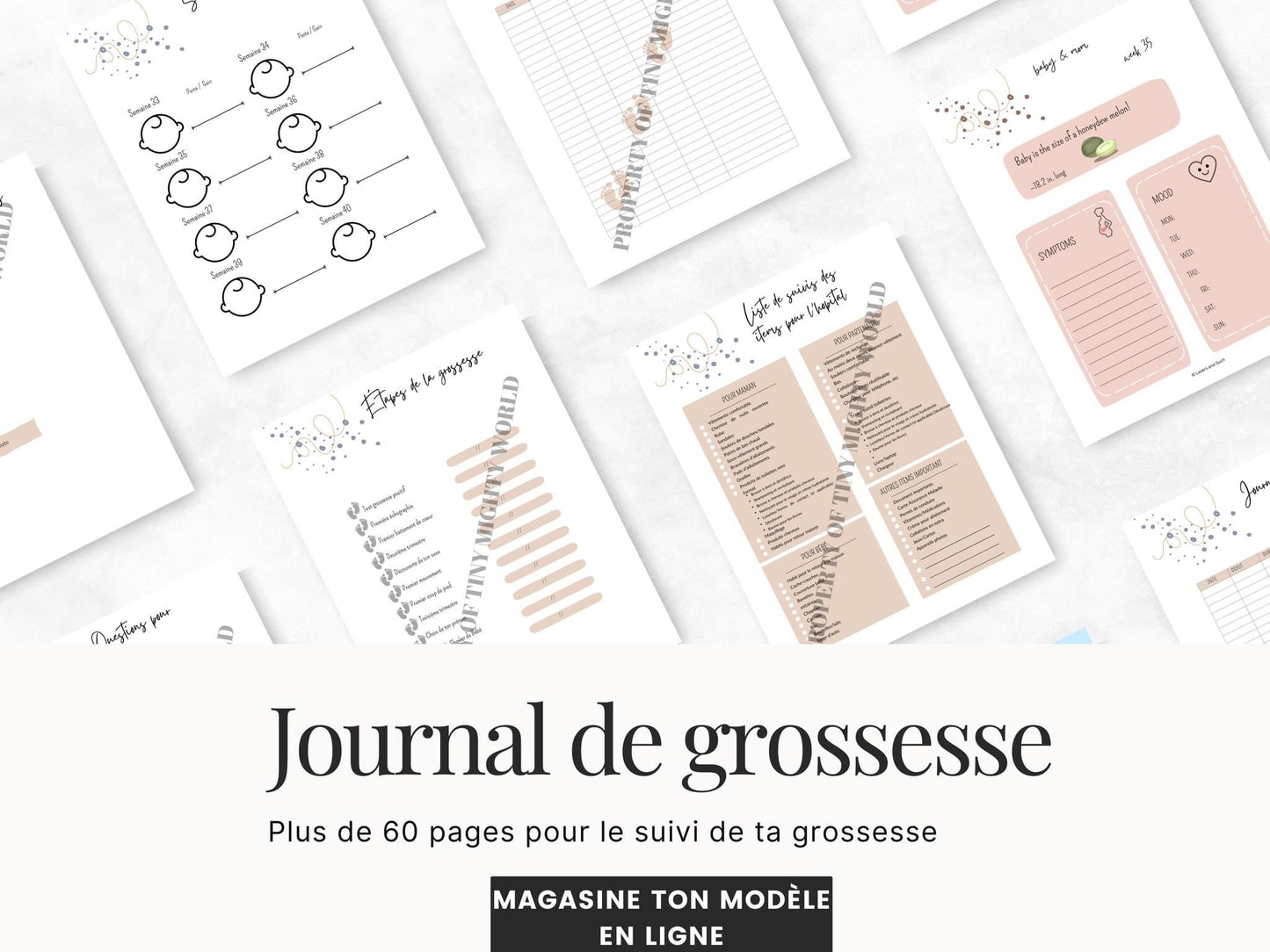 Journal de grossesse