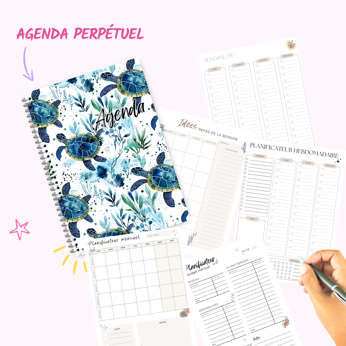 Blue Turtle - Agenda / Planner 2027 - undated