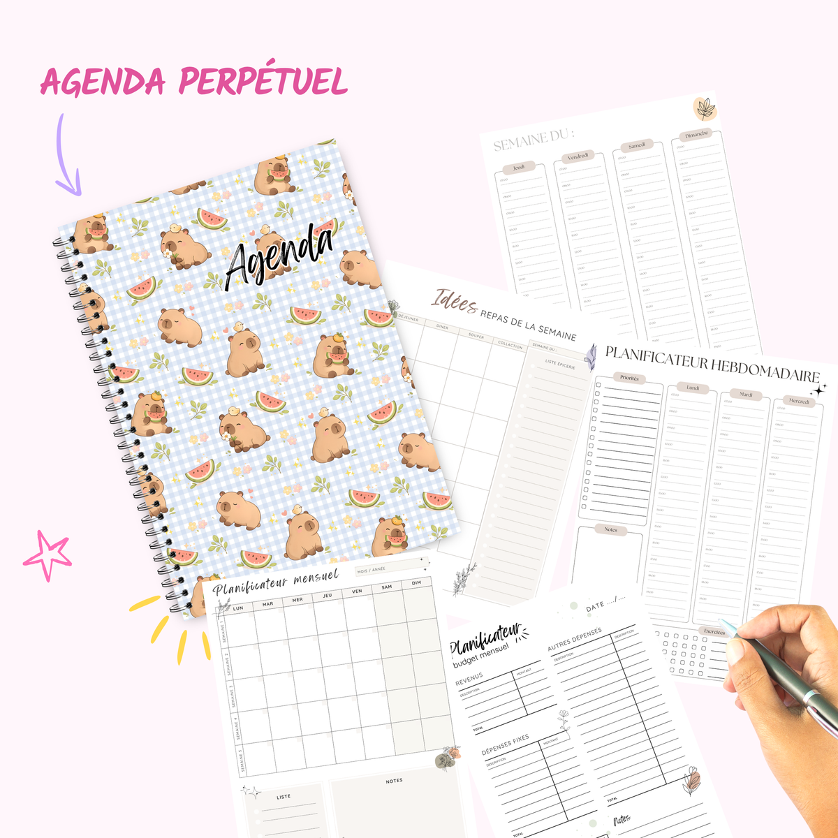 Watermelon Capybara - Agenda / Planner 2027 - undated