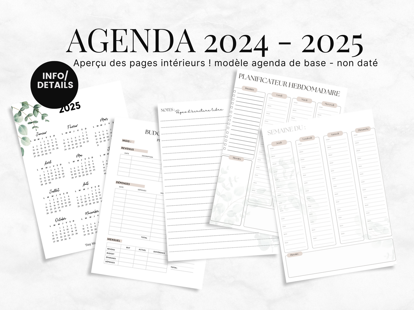 2024 - 2025 Agenda