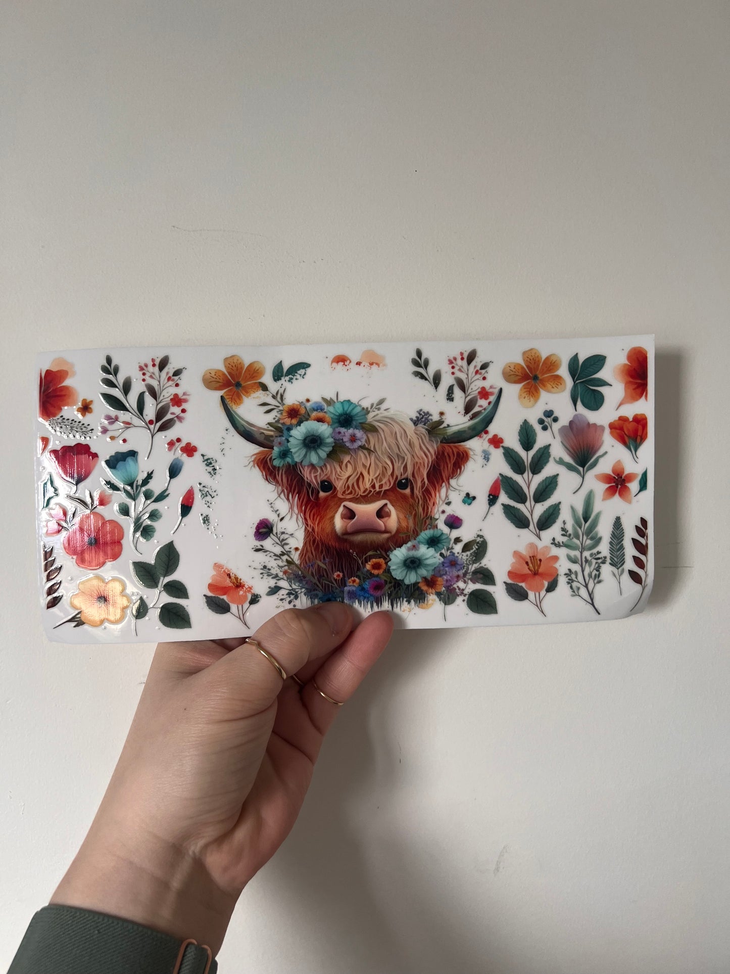 UVDTF TRANSFER CUP WRAP - RTS - HIGHLAND COW