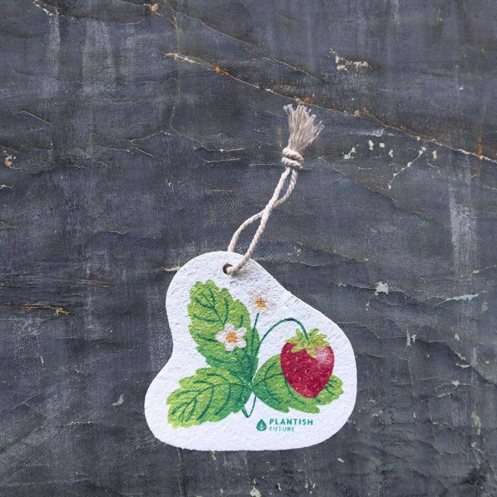 Strawberry Patch - Éponge rétractable