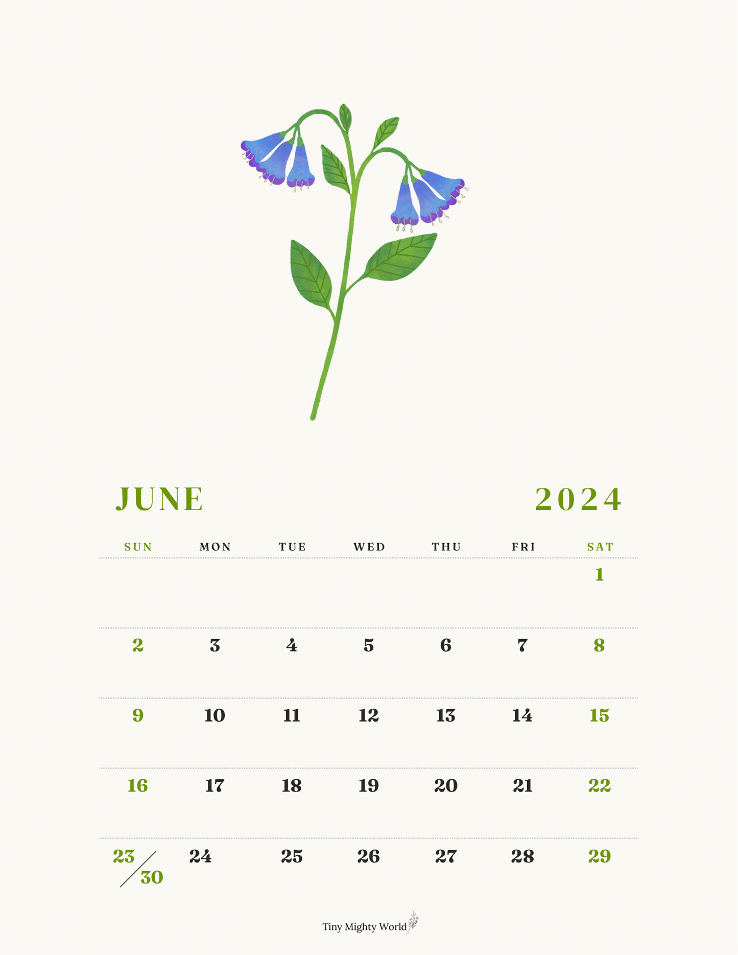 2024 Large Calendar Floral / Color