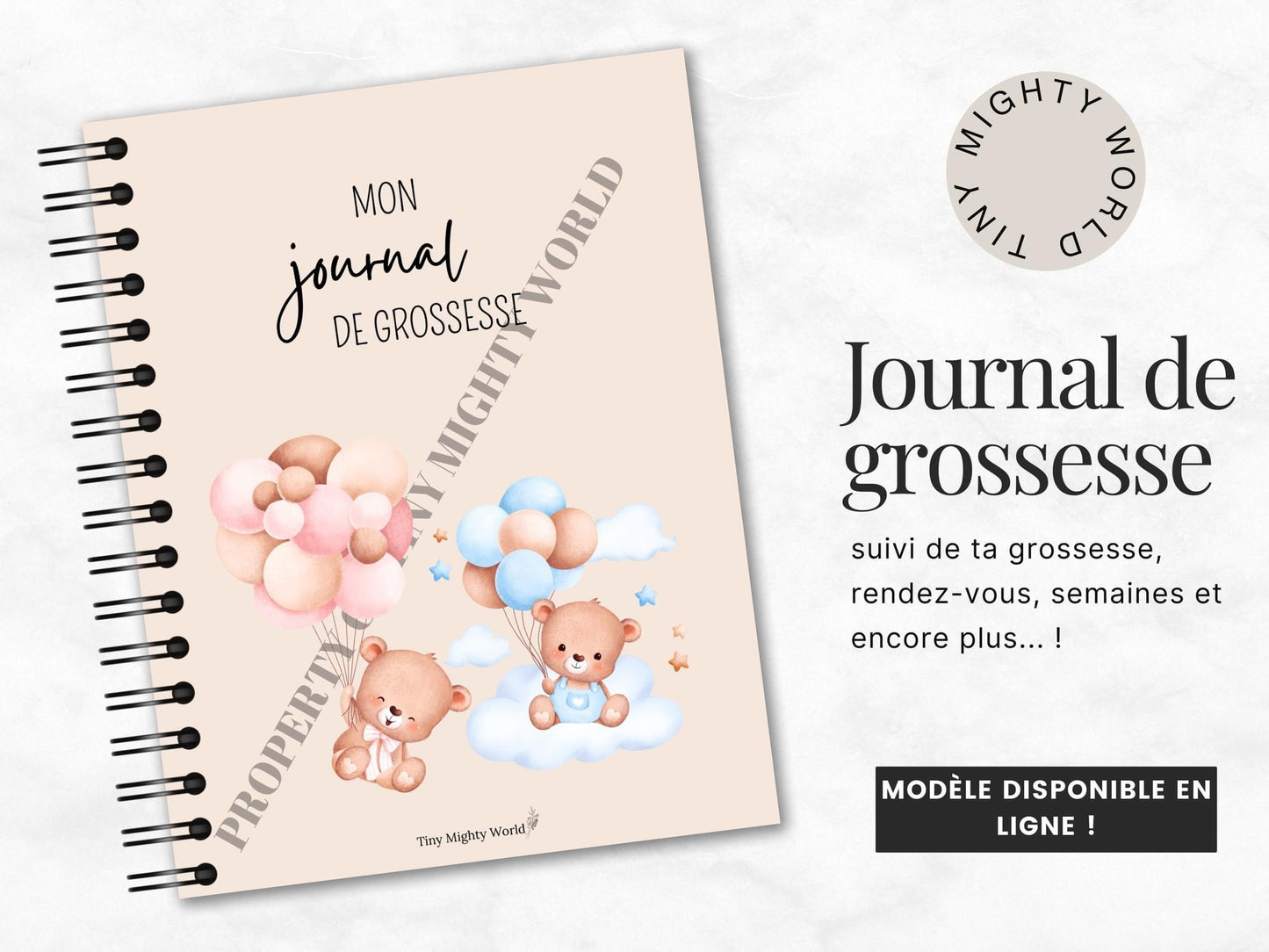 Journal de grossesse