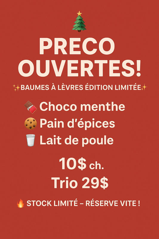 PRÉCOMMANDE- Baume à lèvres édition limitée – Collection des Fêtes (Choco Menthe, Pain d’Épices, Lait de Poule)