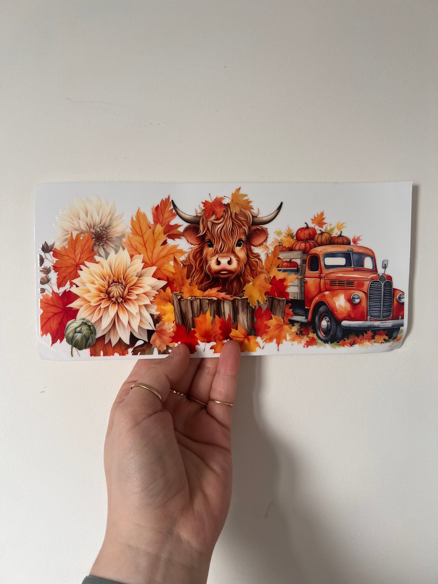 UVDTF TRANSFER CUP WRAP - RTS - HIGHLAND COW