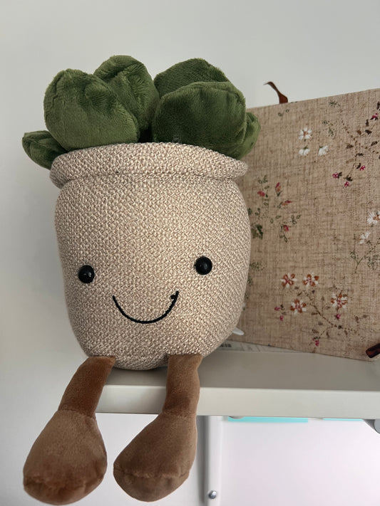 Peluche succulente