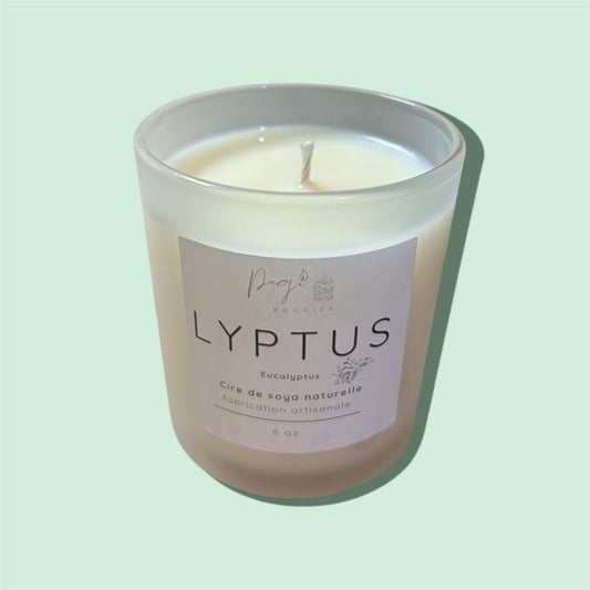 Bougie Lyptus - 6 oz