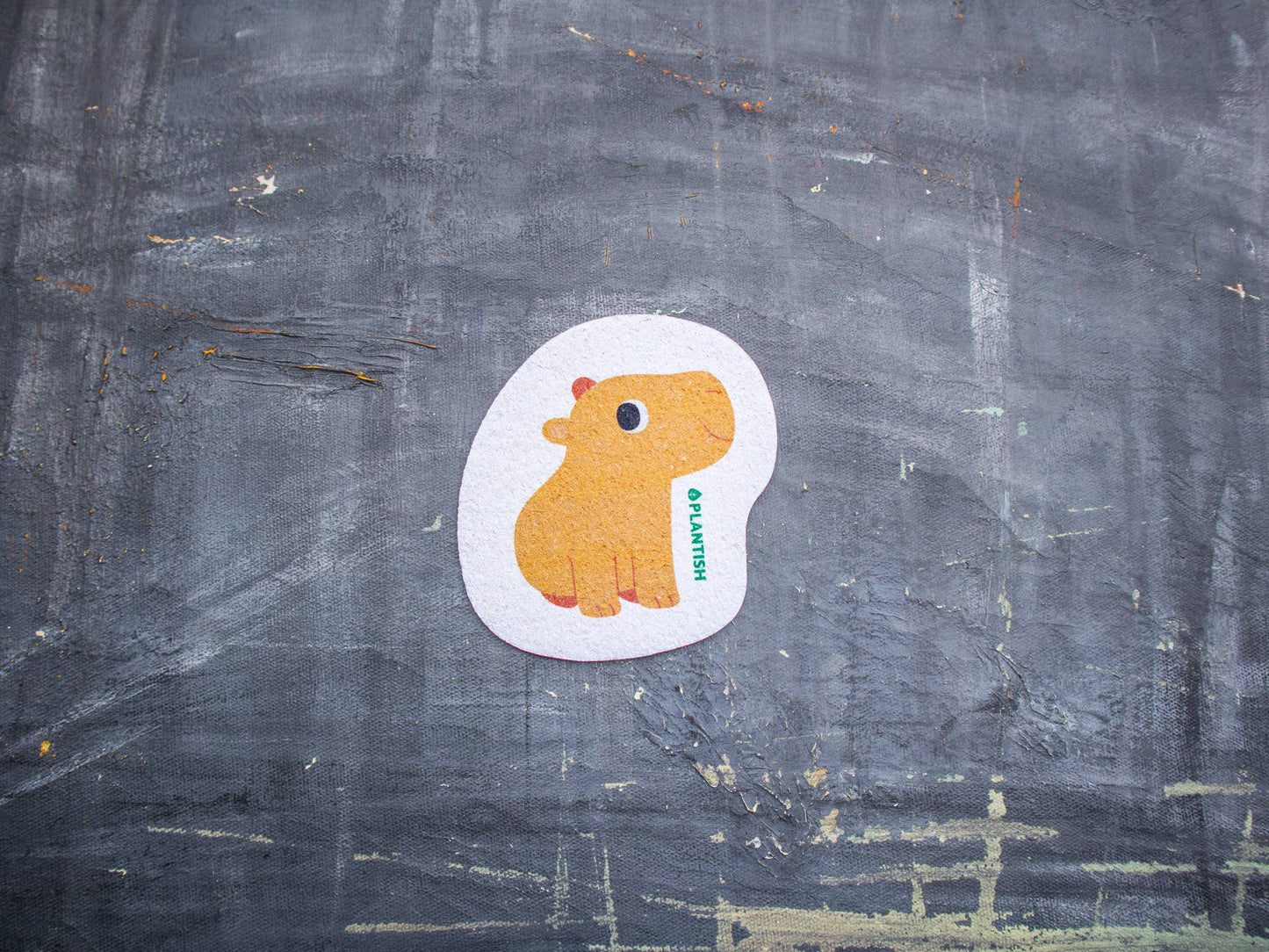 Capybara - Éponge Pop-up