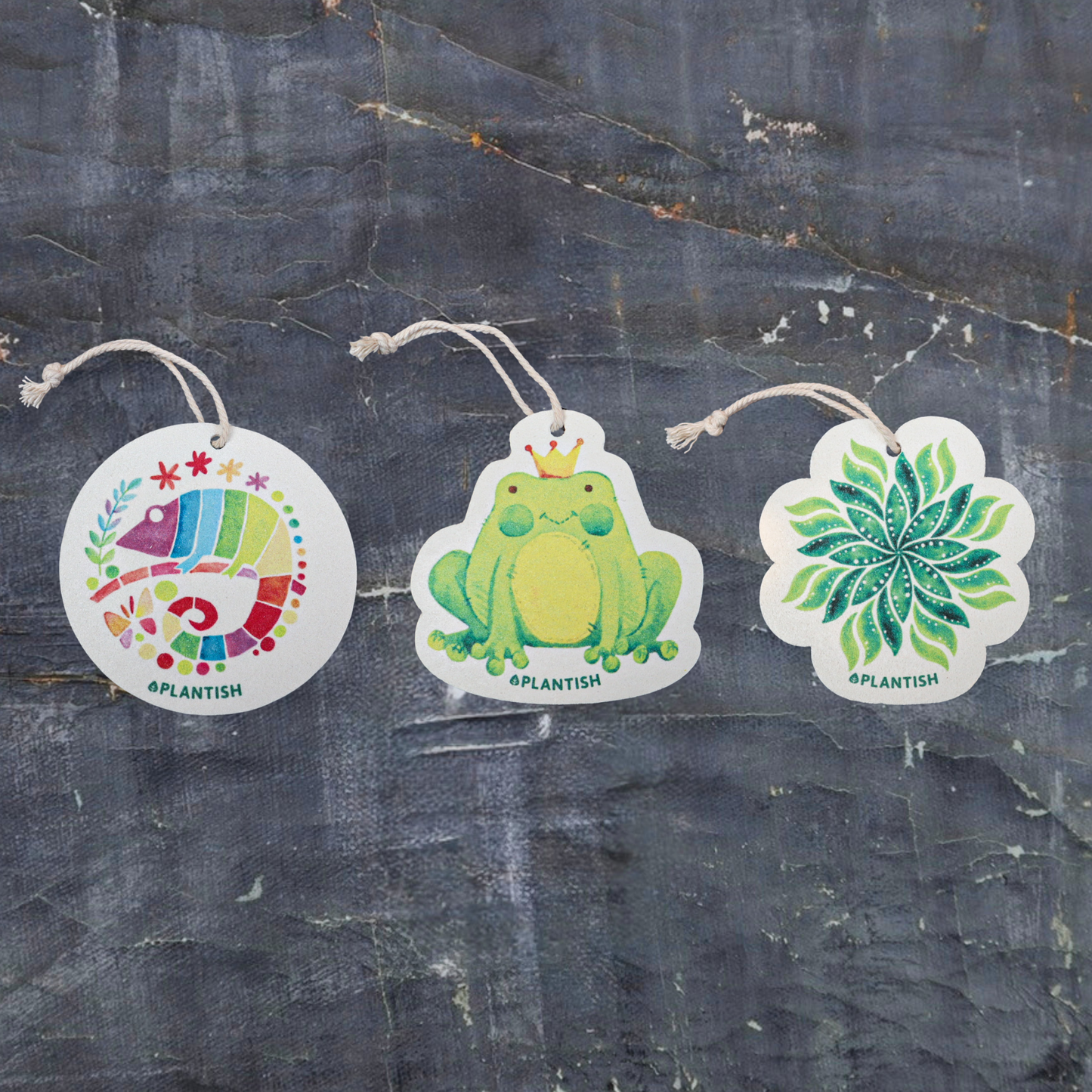 Grenouille - Éponge Pop-up