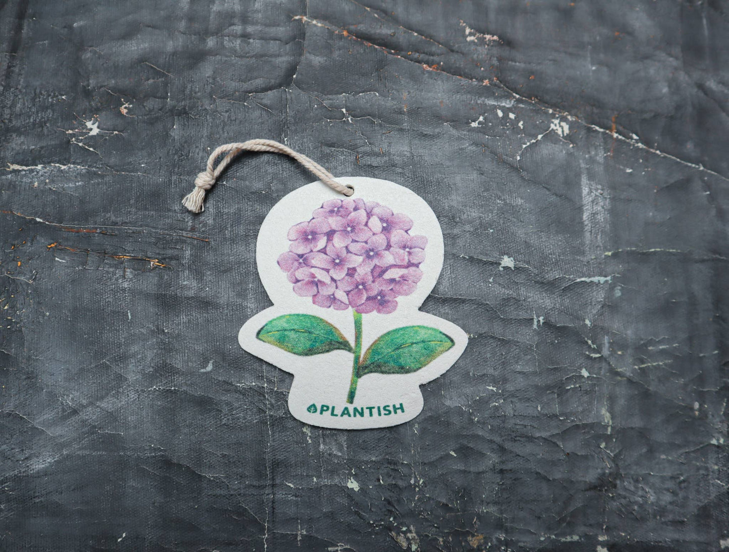 Hortensia - Éponge Pop-up