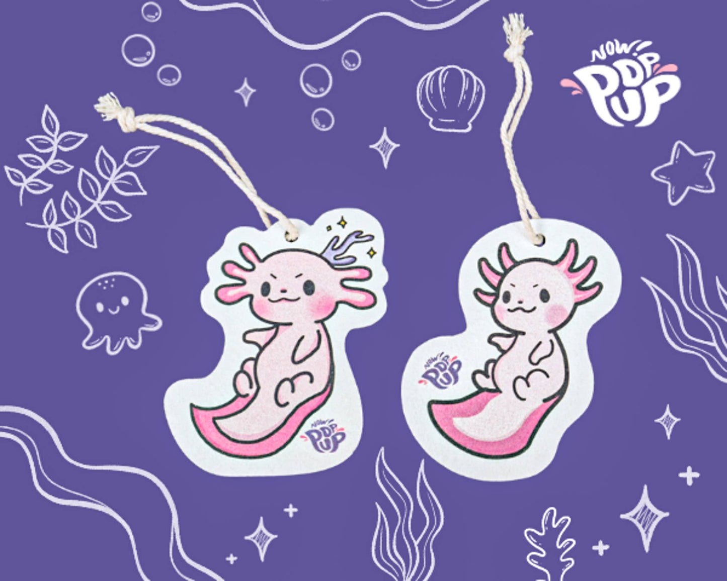 Éponge Axolotl