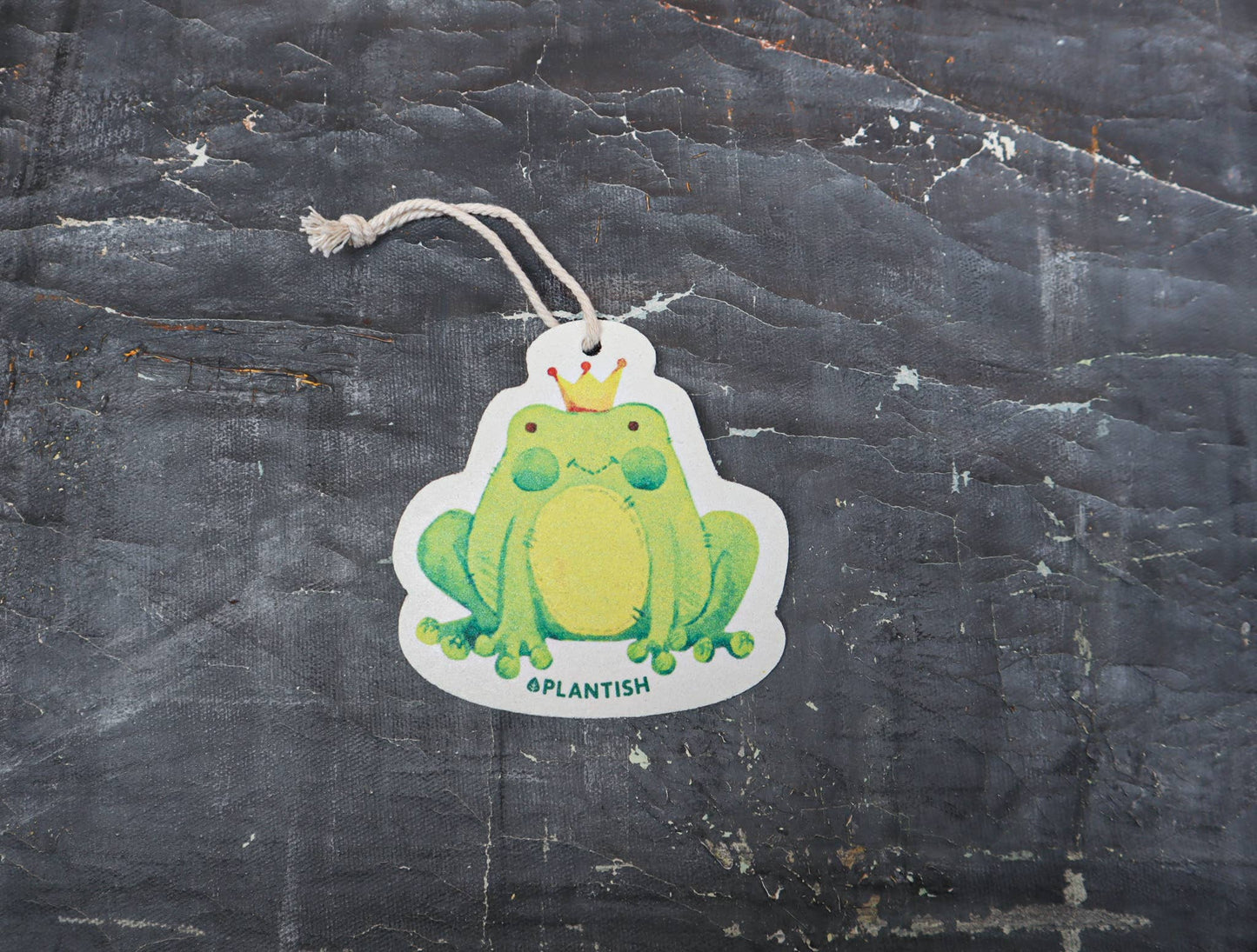Grenouille - Éponge Pop-up